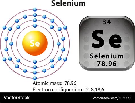 electron dot structure for selenium|lewis dot diagram for selenium.